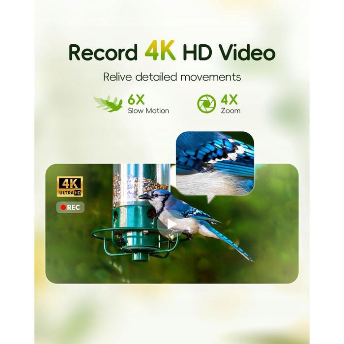 Інтелектуальна годівниця для птахів HIBIRD 4K HD з сонячною панеллю, WiFi-камерою та 6-кратним зумом та ШІ