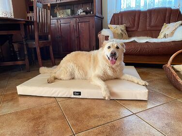 Килимок для собак Tina Grosse, XL, 100x80x8 см, бежевий (Еко-тканина Kodura)