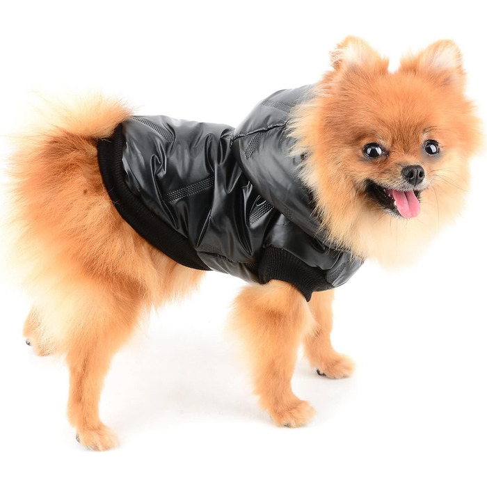 PAIDEFUL Зимовий теплий пуховик для собак - куртка з капюшоном для цуценят, чихуахуа, котів. Розмір M, чорний. Водонепроникний, захист від вітру. Довжина спини 25 см, обхват грудей 37 см.