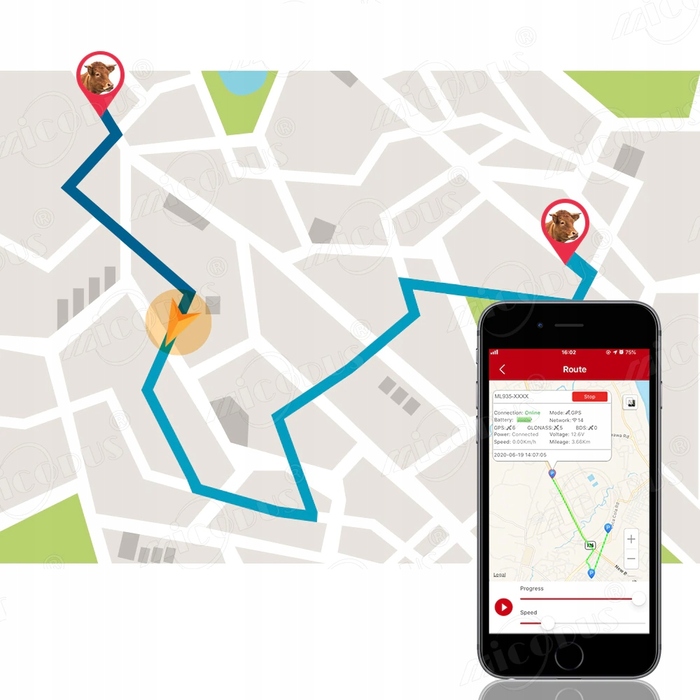 GPS-нашийник-трекер TK935 для тварин (собак і котів) з функцією SOS та мобільним додатком