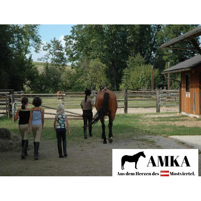 AMKA Рейтпад для верхової їзди з замші, комфорт, розмір Warmblut, для дорослих