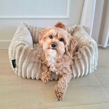 Плюшеве лежак для собак BELLA, 60x40 см, бежевий