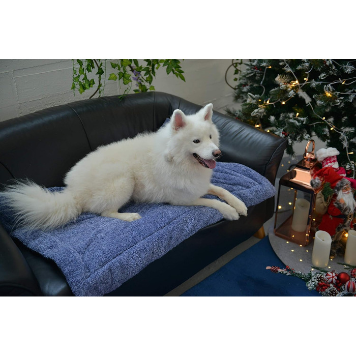 Підстилка для собак та котів Raikou з плюшевою подушкою, флісова, зручна та нековзна (100x70 см)
