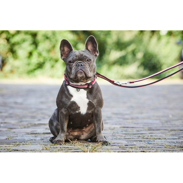 Ошейник для собак Wolters Active Pro, розмір 45-52 см, червоно-чорний