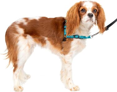 PetSafe Easy Walk Deluxe - шлейка для собак, нейлонова, безпечна, чорна, розмір S