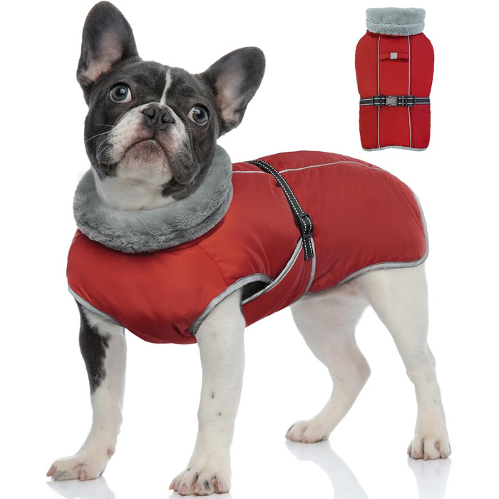 Водонепроникний теплий зимовий одяг для собак середніх порід - куртка, жилет, одяг для снігу, червоний (S)