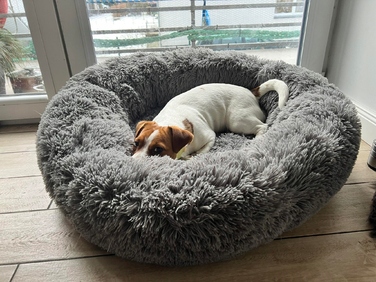 М'яке плюшеве ліжко для собак, сіре, 65 x 65 см