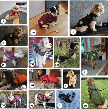 Зимова куртка для собак Aiboria: вітронепроникна, водонепроникна, 2-в-1, тепла, зелена, для цуценят та малих порід