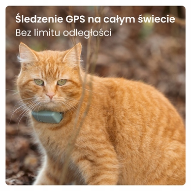 GPS-локатор для котів Tractive CAT Mini — світло-зелений