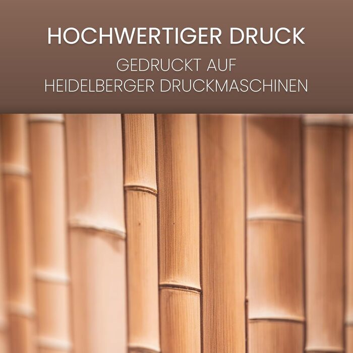 Кігтеточка для котів Petaureus Zylinder з вставкою | Стильна та екологічна | Ø 40 см | Кігтеточка з переробленого картону з змінним вкладишем