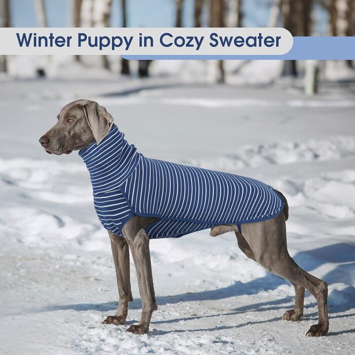 Теплий флісовий пуловер для собак Hjyokuso, розмір L. Зручний зимовий одяг для малих, середніх та великих собак. Теплий, м'який, для прогулянок у холодну погоду – синій.