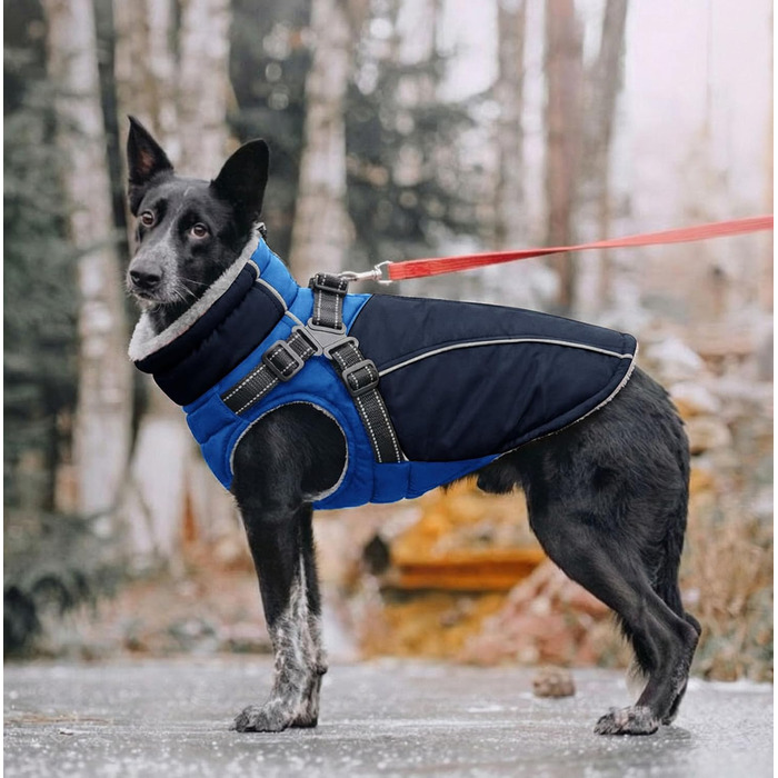 Зимовий теплий одяг для собак - куртка для маленьких собак з шлейкою, флісовою підкладкою та світловідбиваючими елементами, блакитна, XS (обхват грудної клітки 35 см)