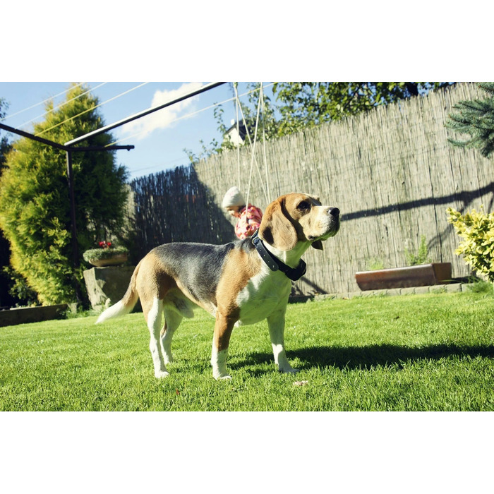 Тканинний електронашийник для собак Dog Trace