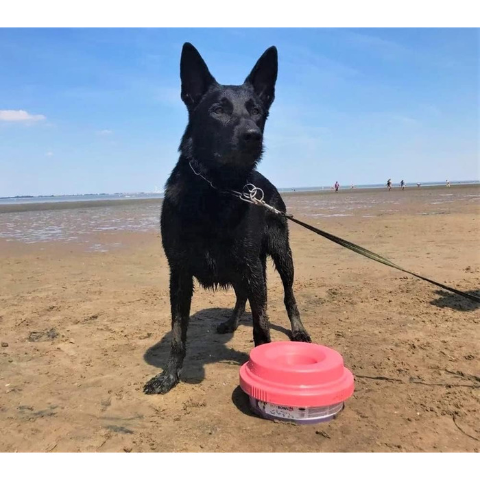 Миска для собак Tilty Bowl XL (антрацит-сірий)