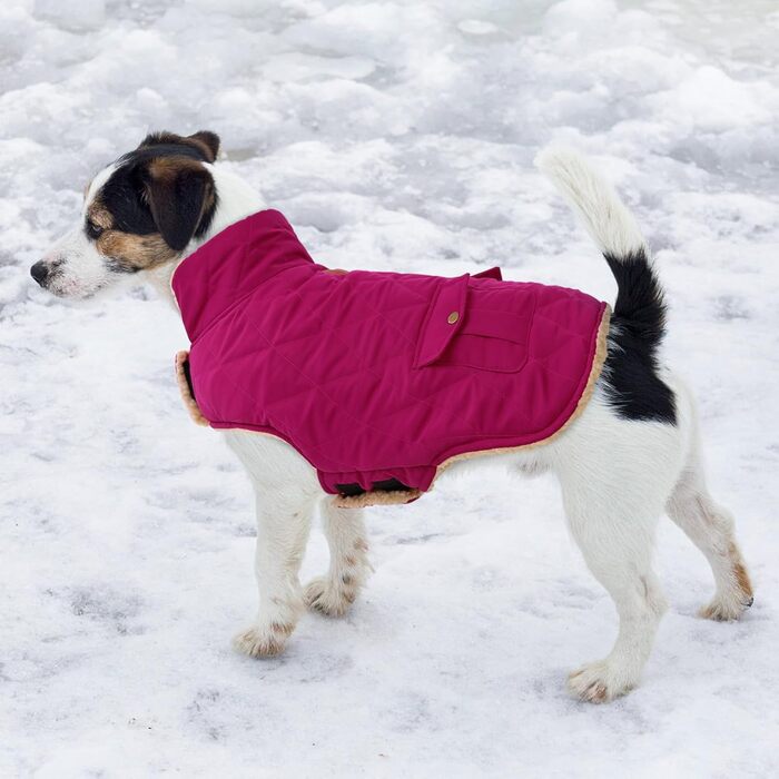 Зимовий теплий одяг для собак Citétoile - куртка з флісу для собак, з отвором для шлейки (L, фіолетовий)