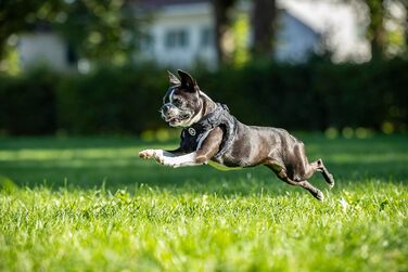 М'який нашийник для собак CHIARA MIA, розмір XL, чорний. Водовідштовхуючий, з регулюванням на липучці, світловідбиваючі смуги.