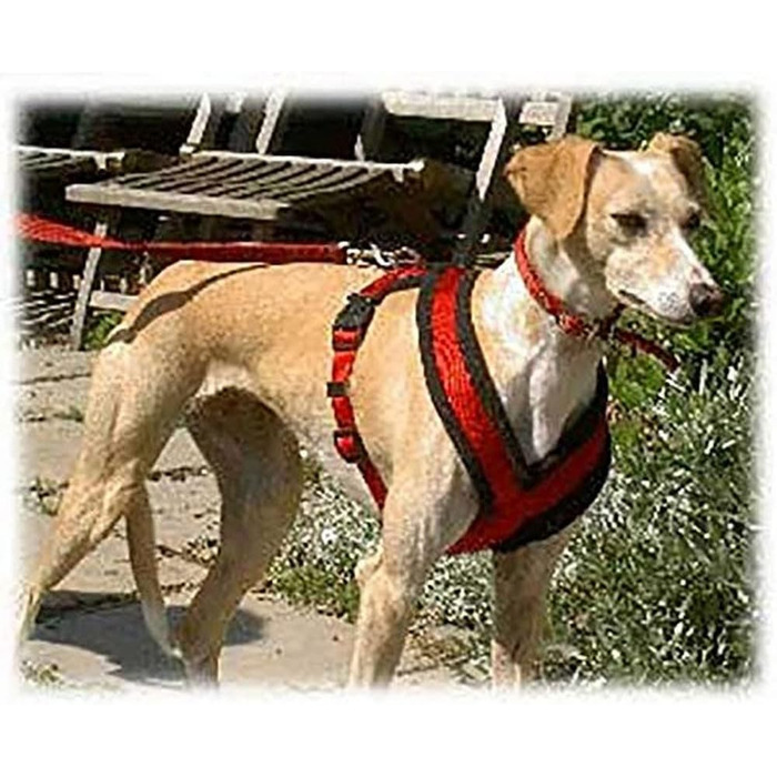 Шлейка для собак TRIXIE Premium Touren M, чорна, розмір M (45–80 см), 25 мм - спортивна, з м'якою підкладкою, регульована