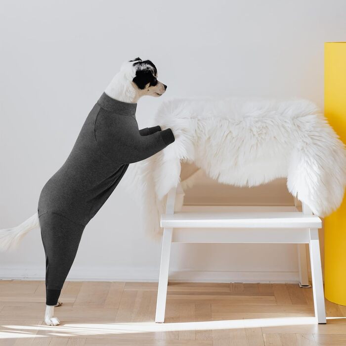 Комбінезон для собак, захисний одяг після операції, захист ран, з довгим рукавом, одяг для відновлення, піжама для домашніх тварин, альтернатива комірцю E, сірий, розмір S