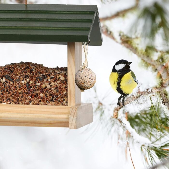 Дерев'яний годівничка для птахів JAZUIHA для дикої природи, годівничка для пташиного корму, годівничка для підвішування з тримачем для м'ясних кульок для метеликів, саду, тераси або балкону