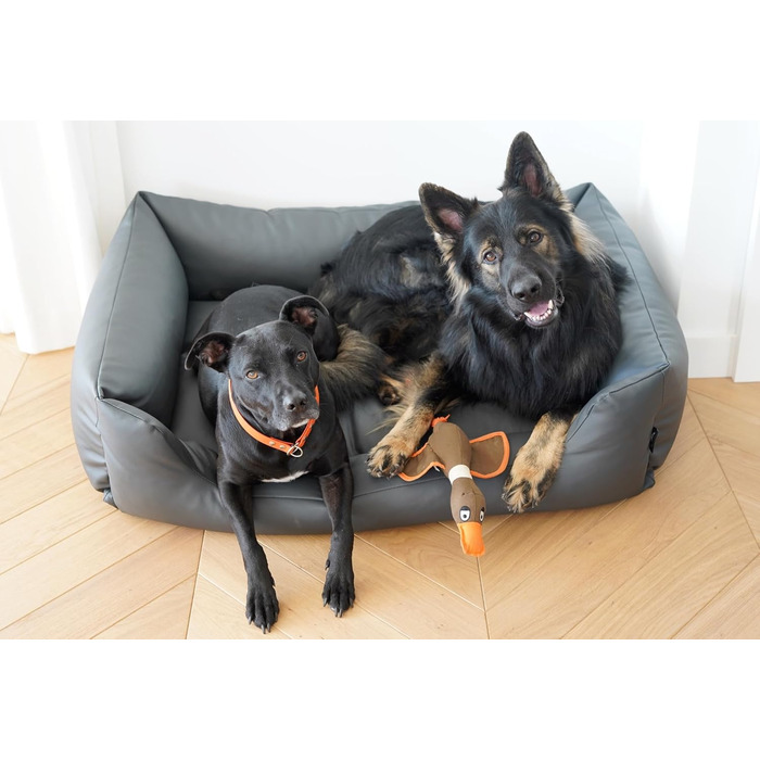 4L Textil Hundebett Mario: Квіткове ліжко для собак з штучної шкіри, 100x70 см, Графіт