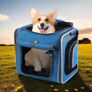 Велосипедний кошик для собак | Транспортна сумка для тварин, регульована сумка-переноска з вентиляцією для прогулянок, подорожей, кемпінгу, велопоїздок та піших прогулянок