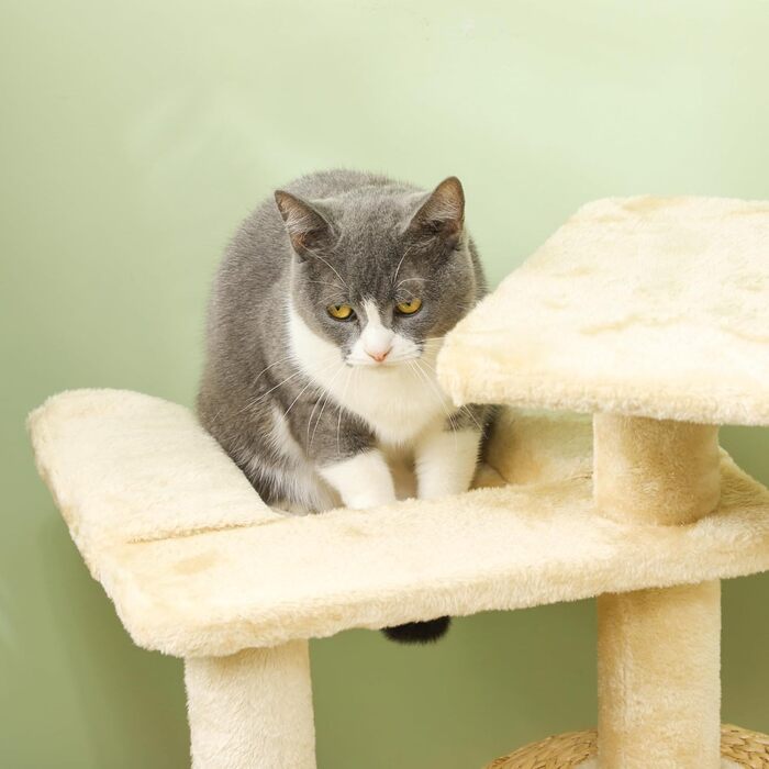 PawHut Котячий комплекс 112 см: будиночок, ліжко, іграшки, стовпи з сизалю, для котів до 5 кг, бежевий