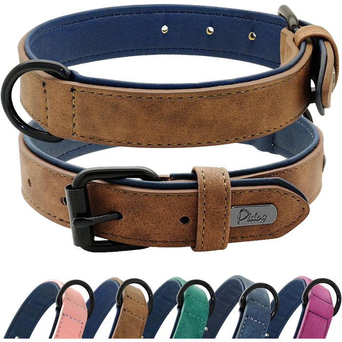 Шкільний нашийник для собак Didog: м'який, з підкладкою, зелений, L (33-43 см, 10-20 кг)