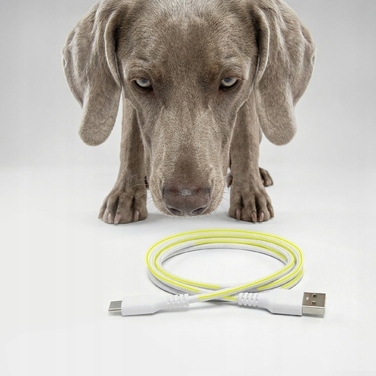 Автоматичний годувальник для сухого корму для собак Peluvio Crispy, 4.5 л