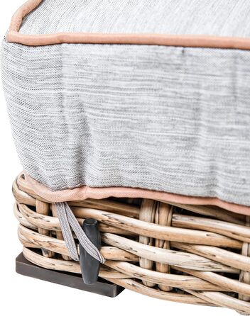 greemotion Лежанка для собак з поліротангу з подушкою, 95 x 15 x 65 см, розміри подушки 95 x 15 x 8 см