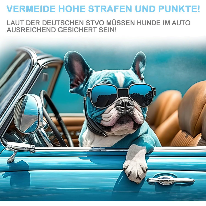 Автомобільний поводок для собак LeoPets: безпечний та регульований, 30-90 см, з карабіном, світловідбиваючий, чорний