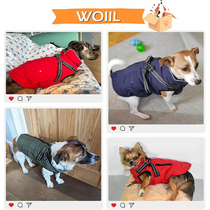 Зимова куртка для великих собак, водонепроникний дощовик з шлейкою та блискавкою, зелений, XL для Golden Retriever, Labrador, Німецької вівчарки XL зелений