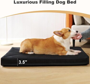 Ортопедичне ліжко для собак та котів, вологостійке, з memory foam, знімний чохол, квадратне