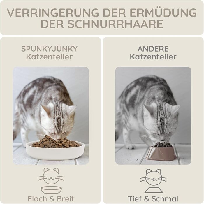 Набори мисок для котів SPUNKYJUNKY 3 шт. з кераміки, 300 мл, білі, круглі