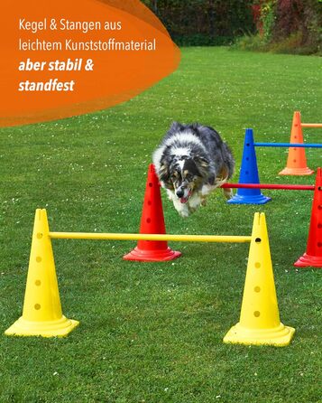 Набір для аджиліті SPORTIKEL24: 4 перешкоди для собак, коней та дітей (50 см, 100 см)
