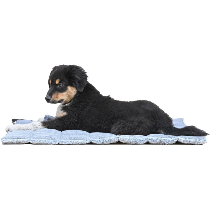 Килимок для собак великих порід, сірий, 65x80 см. Зберігає суглоби, легко переносити, машинного прання. Двосторонній, для літа та зими.