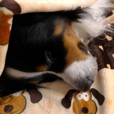 SmartPetLove ковдра для тварин, надм'яка та міцна, коричневий візерунок