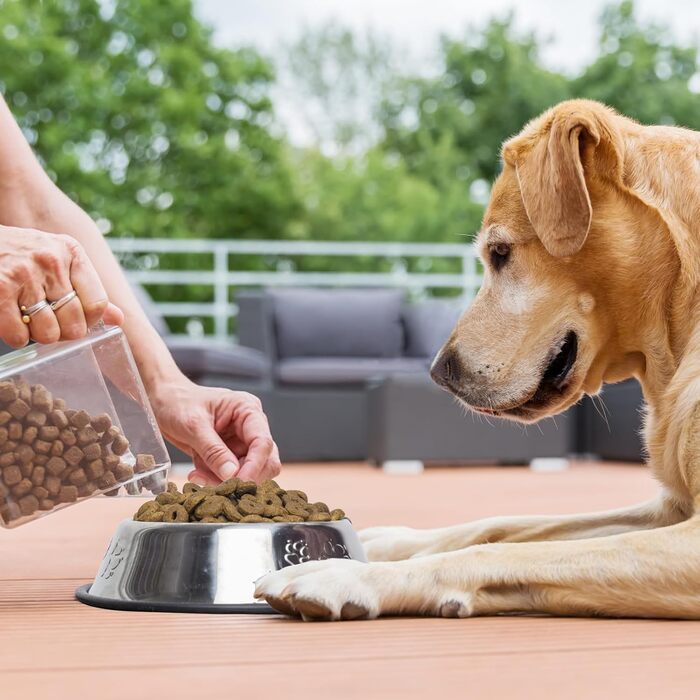 Набір з 8 мисок для собак з нержавіючої сталі, годівниця для домашніх тварин з гумовою основою, миска для корму та води для собак, котів та інших тварин