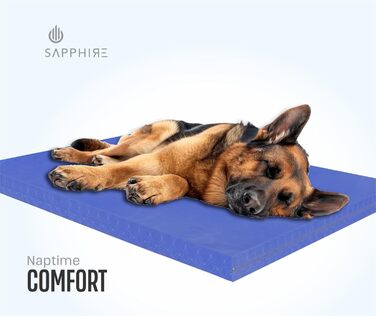 Матрац для собак, вологостійкий, сертифікований FR, міцний, для вулиці, розмір M, 90 x 60 x 5 см, блакитний