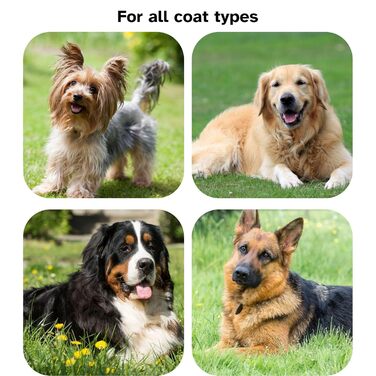 Професійна щітка для грумінгу, велика для вичісування Goldendoodle, Labradoodle, пуделів – довгі сталеві шпильки для густого хутра, червона – [TaiQiang]