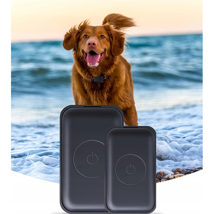 GPS-трекер для собак та котів: міні-нашийник для тварин без абонплати з додатком