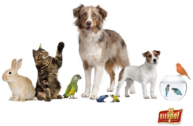Клітка для птахів Panama Pet, 42x30x57 см, срібляста/бронзова
