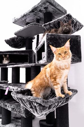 Дряпка для котів Petrebels Maine Coon XXL Alley 200 см, преміум, для великих котів, чорна