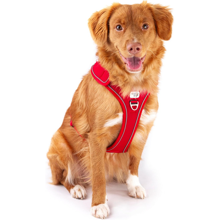 Шлейка для собак Belka, регульована, чорна, XL