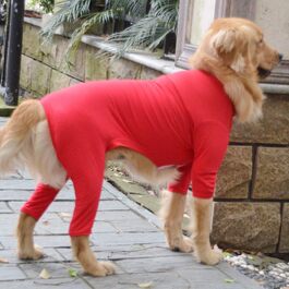 колір: червоний