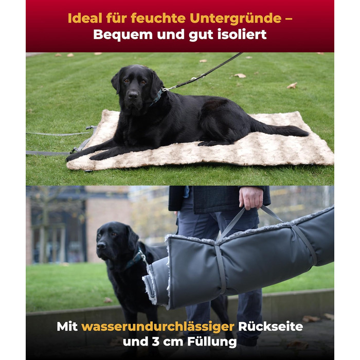 Водонепроникний килимок для собак Outdoor L (85x120 см) – килимок для собак, миючий, з наповнювачем 3 см – ідеальний для подорожей та дому – бежевий, Made in Germany 85 x 120 см