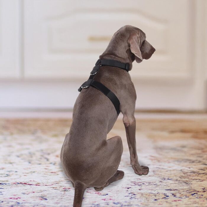 Шлейка для собак FEimaX для великих собак, тактична, не тягне, чорна, XL. Зручна, дихаюча, міцна, з м'якою підкладкою