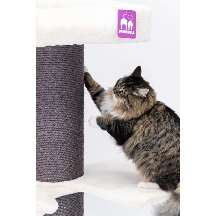 Дряпак для великих котів Petrebels Maine Coon 117 см, преміум-якість, стовпи 20 см, білий