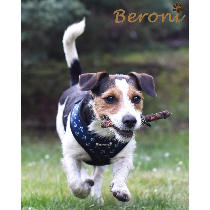 Шлейка для собак Softgeschirr, шлейка для грудей Anker Maritim, регульована, для відпочинку, літо (L (37-42см), M)