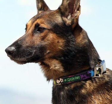 Собачий нашийник Cycle Dog з відкривачкою, з переробленого та світловідбивного матеріалу