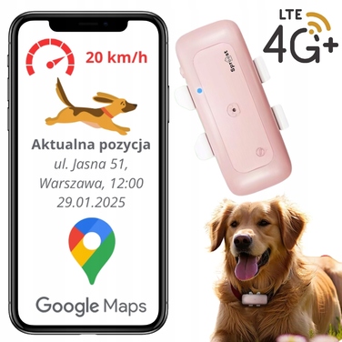 GPS-трекер 4G для тварин: локалізатор для собак та котів без абонплати